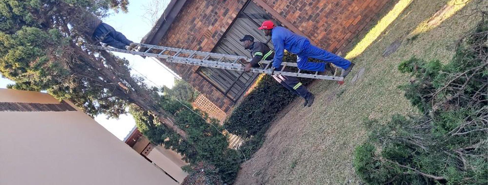 We are always professional and reliable