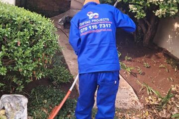 Spring & Fall Cleanup